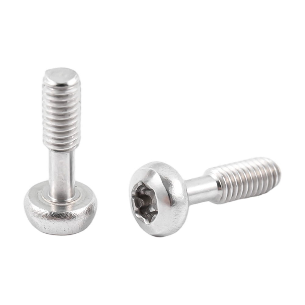 Viti imperdibili torx a testa tonda in acciaio inox