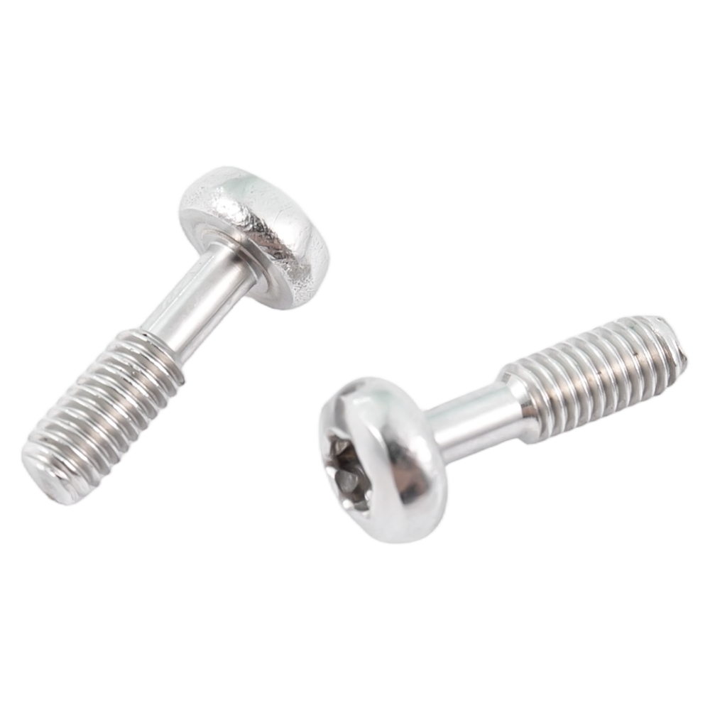 Viti imperdibili torx a testa tonda in acciaio inox Viti imperdibili torx a testa tonda in acciaio inox