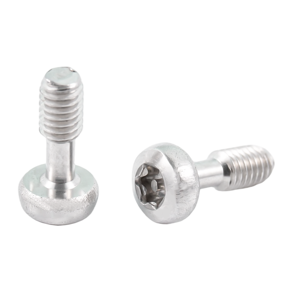 Viti imperdibili torx a testa tonda in acciaio inox Viti imperdibili torx a testa tonda in acciaio inox