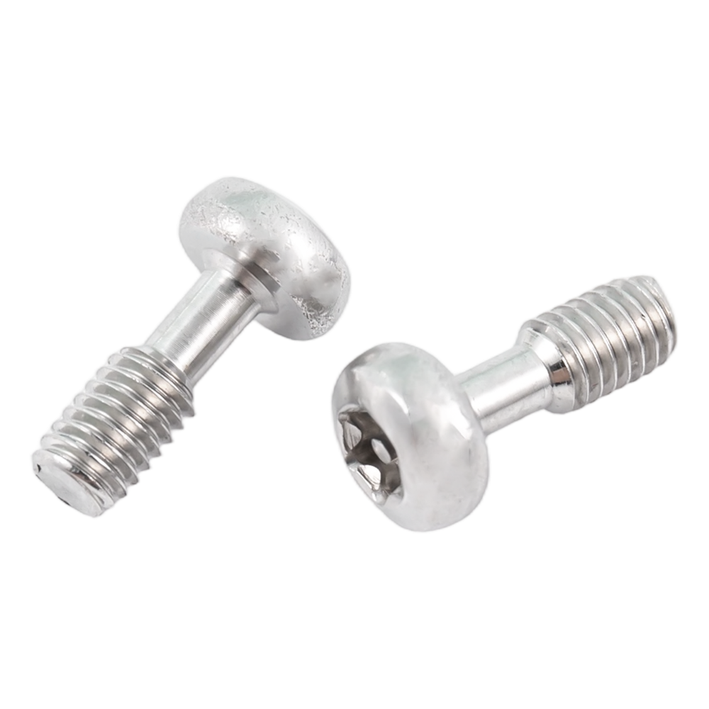 Viti imperdibili torx a testa tonda in acciaio inox Viti imperdibili torx a testa tonda in acciaio inox