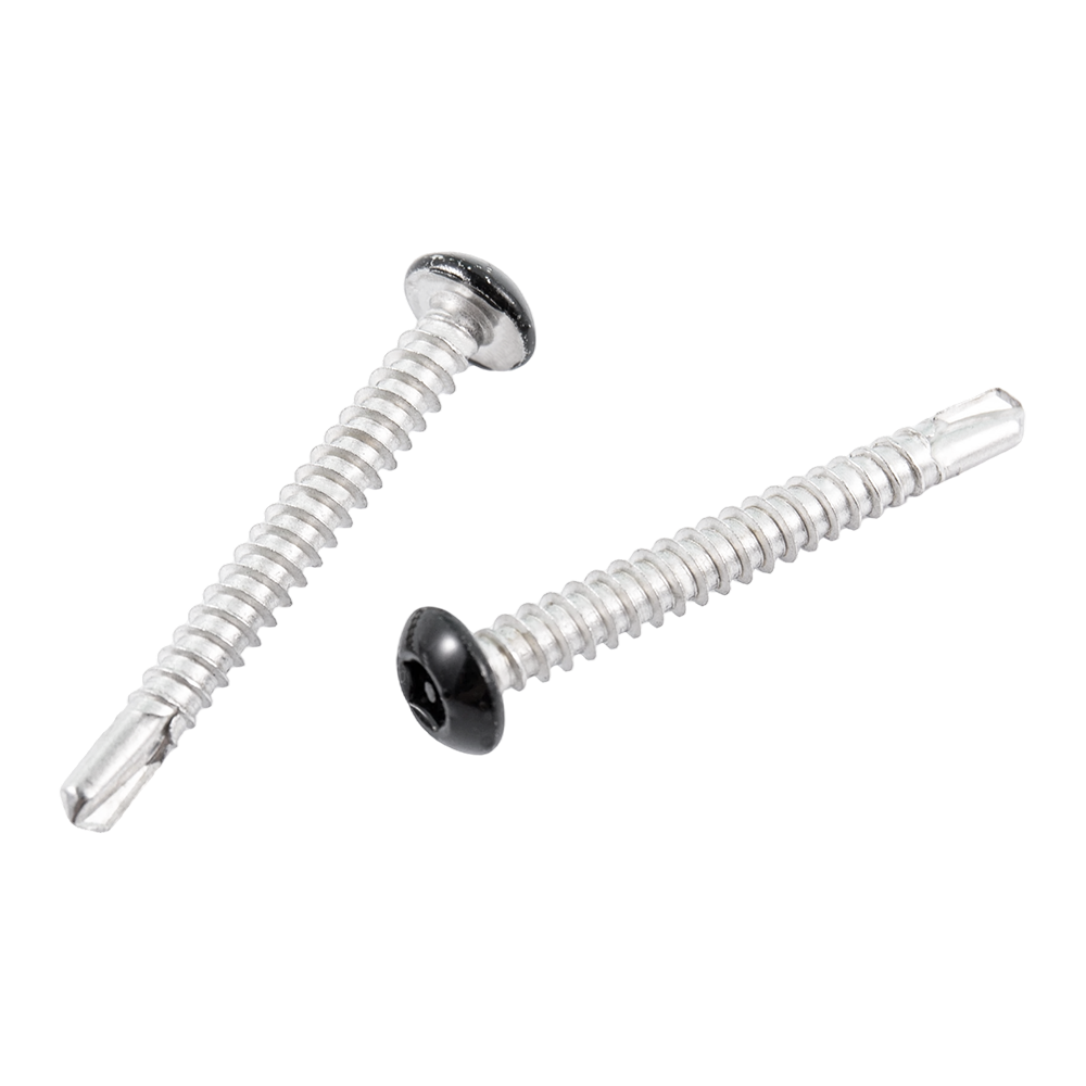Viti per telaio metallico in acciaio inossidabile con testa a rondella con verniciatura nera Viti per telaio metallico in acciaio inossidabile con testa a rondella con verniciatura nera