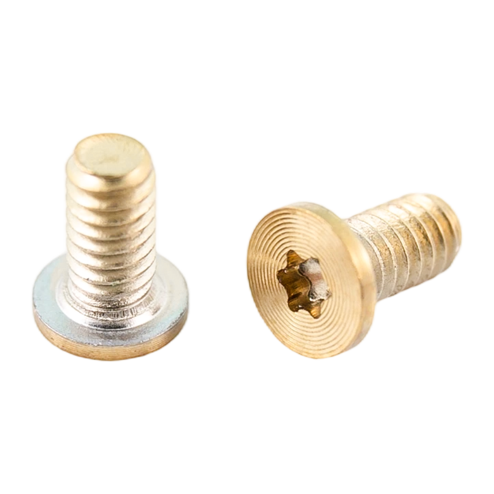 Viti modello CD con filettatura a macchina in acciaio inossidabile con testa torx PVD oro Viti modello CD con filettatura a macchina in acciaio inossidabile con testa torx PVD oro
