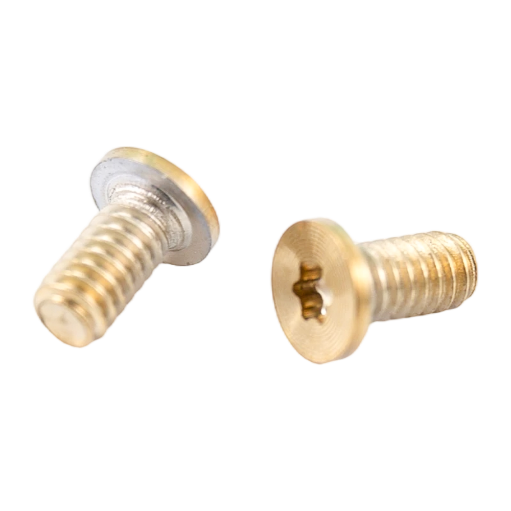 Viti modello CD con filettatura a macchina in acciaio inossidabile con testa torx PVD oro Viti modello CD con filettatura a macchina in acciaio inossidabile con testa torx PVD oro