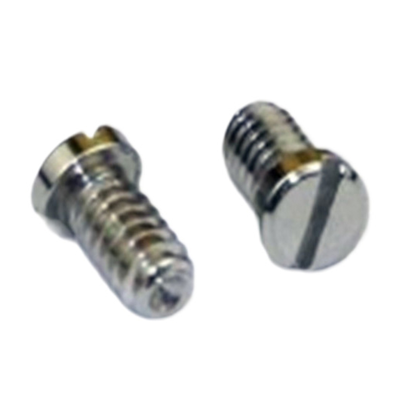 Micro vite piccola M0.6 M0.7 M1.0 in acciaio inossidabile per orologio intelligente