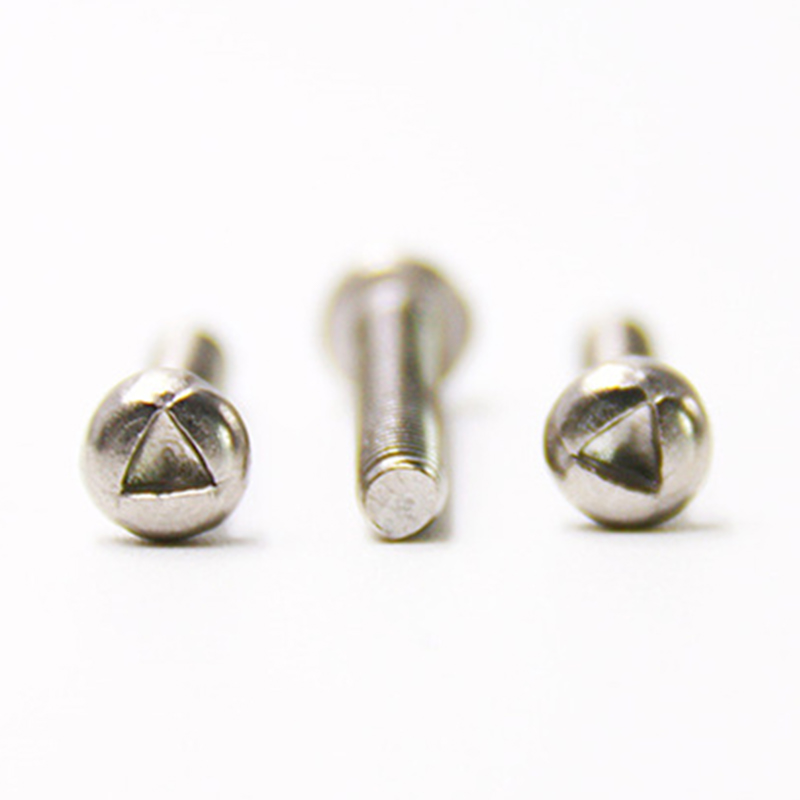 Vite antimanomissione a testa tonda M6 personalizzata con trigola Vite antimanomissione a testa tonda M6 personalizzata con trigola