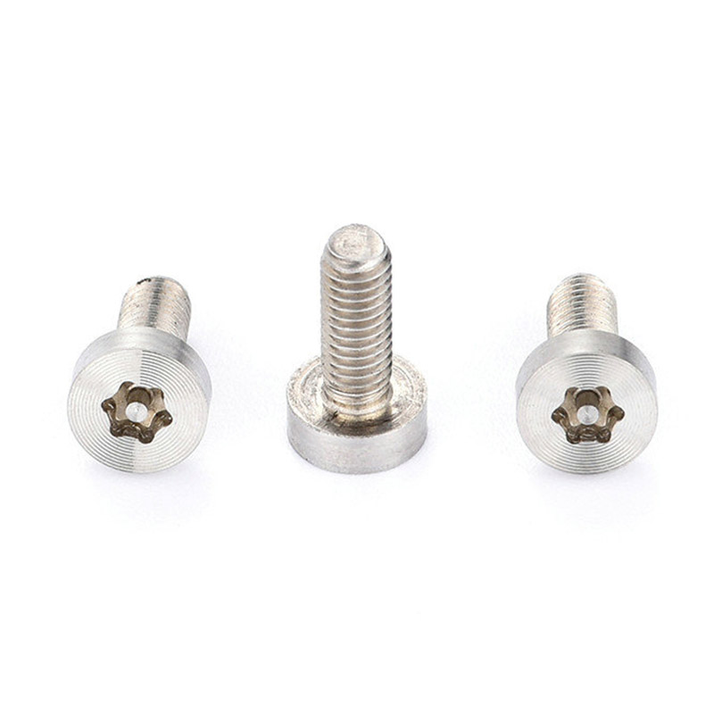 Modello CD Torx con perno Viti a testa tonda bassa in acciaio inox Modello CD Torx con perno Viti a testa tonda bassa in acciaio inox