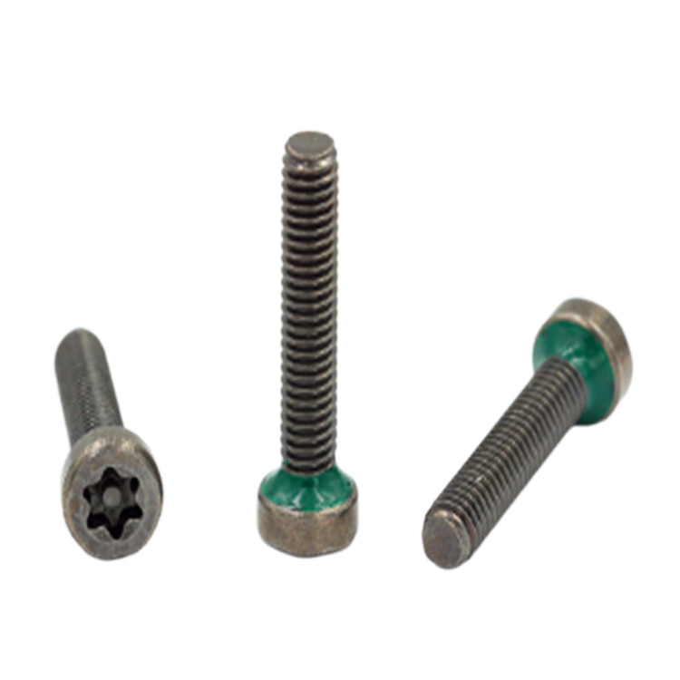 Torx dal design personalizzato con vite impermeabile a testa cilindrica