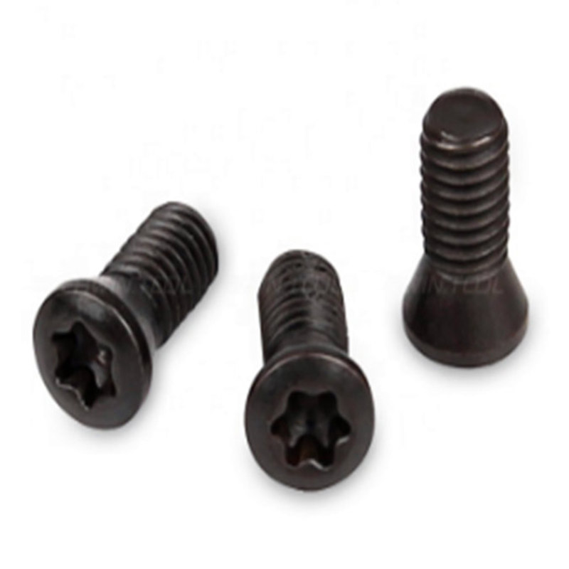 Vite Torx M2 per sostituire l'utensile per tornio CNC con inserto in metallo duro Vite Torx M2 per sostituire l'utensile per tornio CNC con inserto in metallo duro