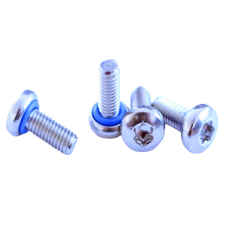 Vite a testa cilindrica a 6 lobi con O ring M3 e rondelle di tenuta blu Vite a testa cilindrica a 6 lobi con O ring M3 e rondelle di tenuta blu