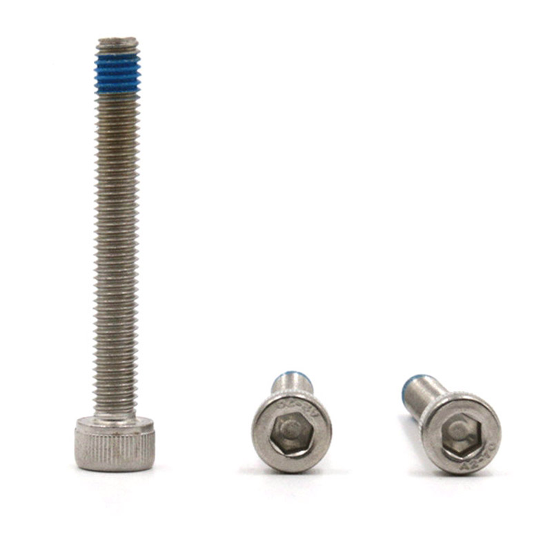 Vite a testa tonda con cava esagonale in acciaio inox M5X40 con toppa in nylon